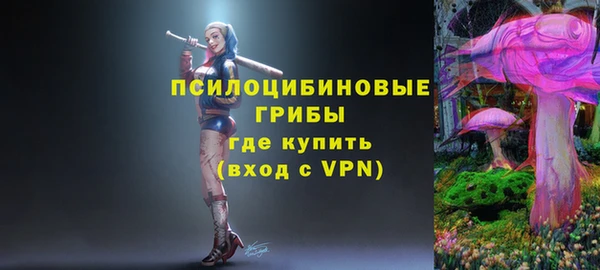 хмурый Аркадак