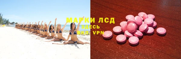 хмурый Аркадак