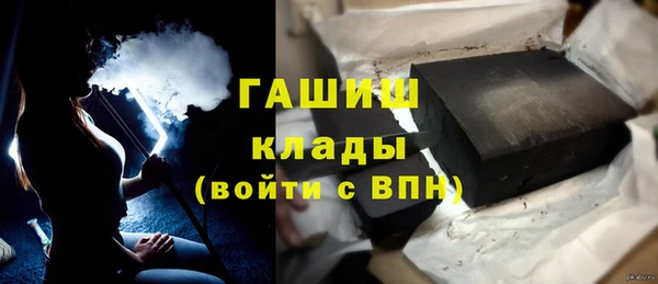 хмурый Аркадак