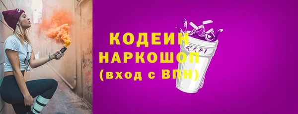 хмурый Аркадак