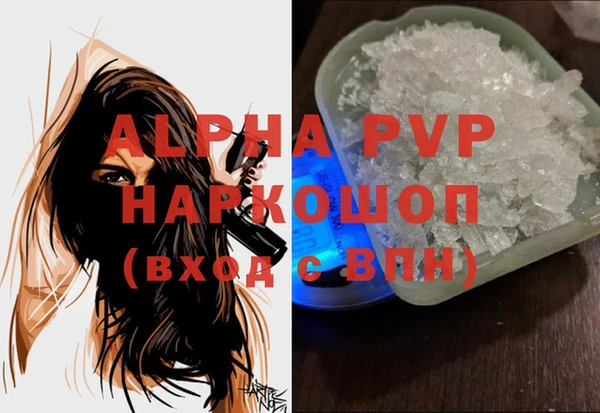 хмурый Аркадак