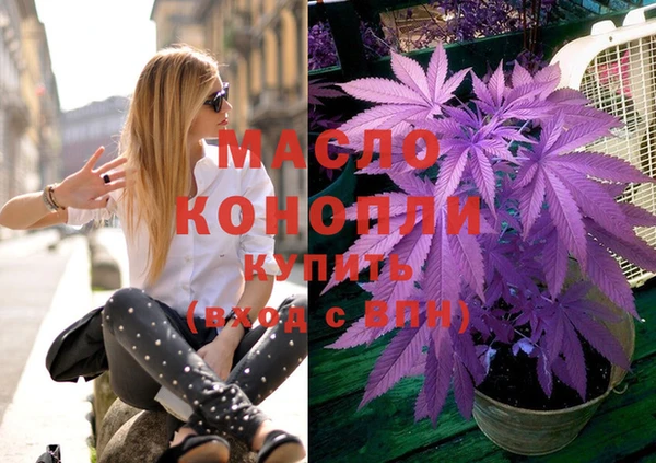 хмурый Аркадак