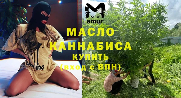 хмурый Аркадак