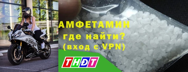 хмурый Аркадак